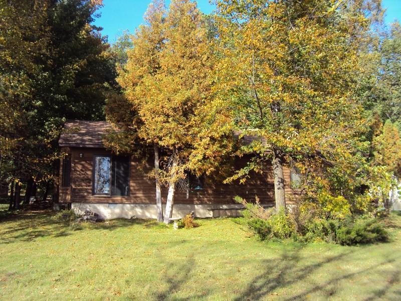 Brown wood-sided home partly hidden by yellow autumn trees beside a green lawn.