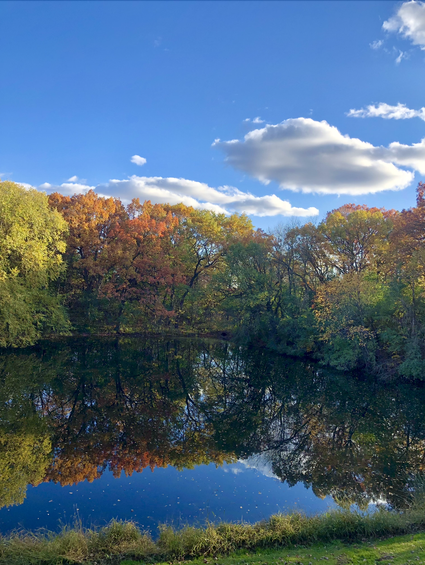 8717 Demontreville Trail N