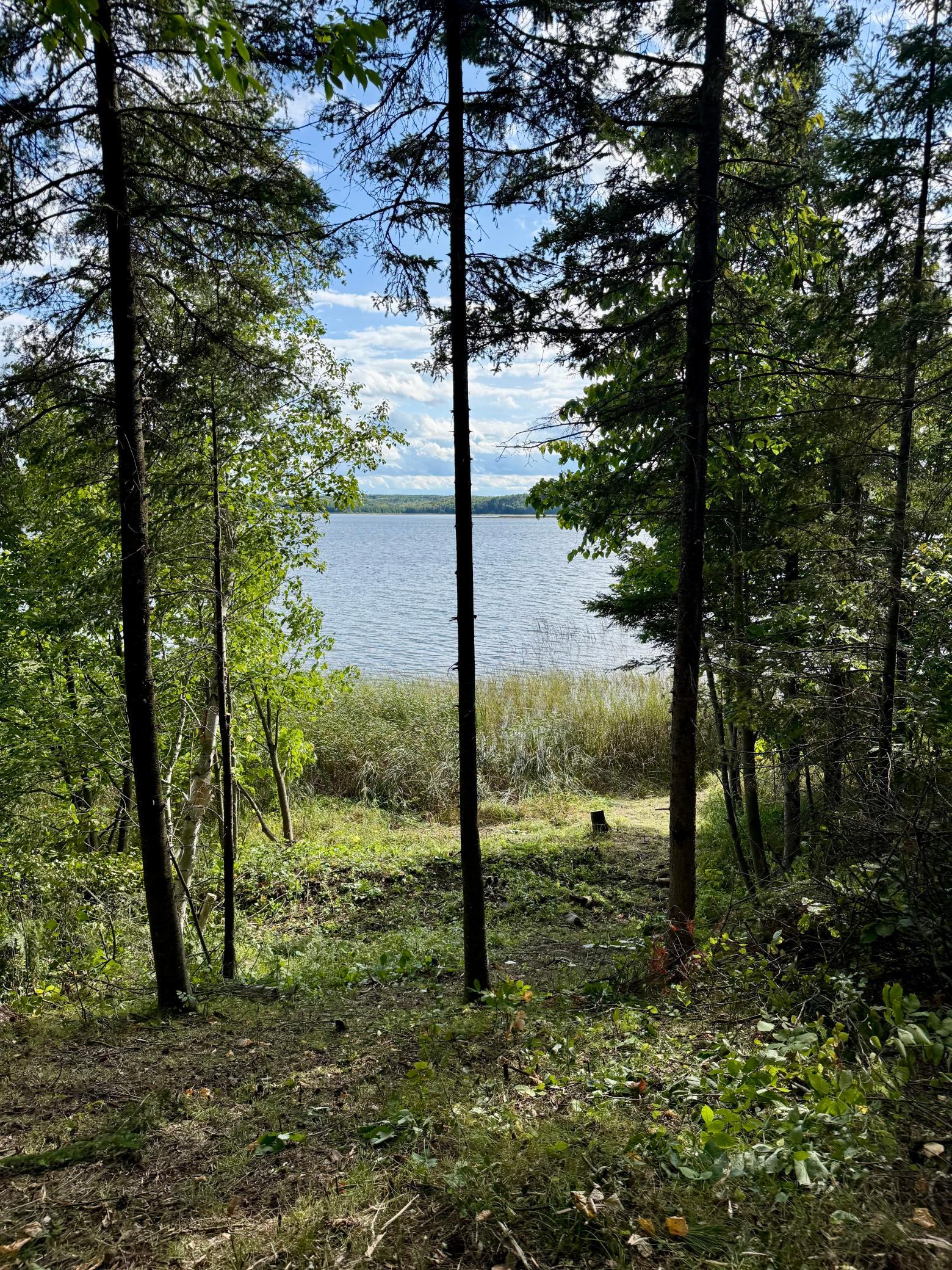 Lake George shoreline framed by trees, with reeds and a distant forested shore.