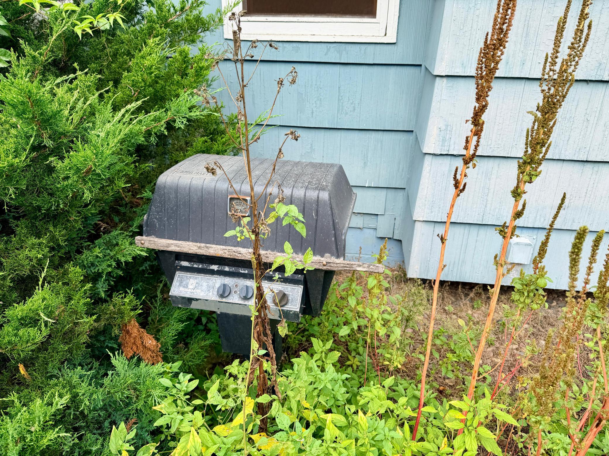 Property photo 5