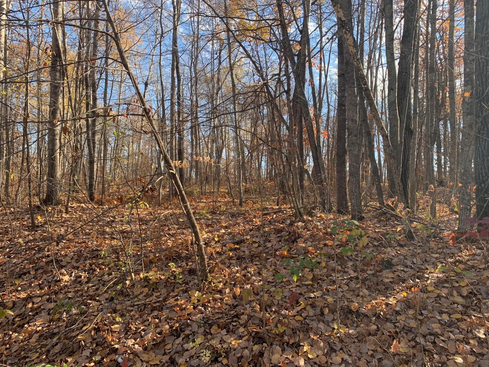 Lot 7 County Road 136