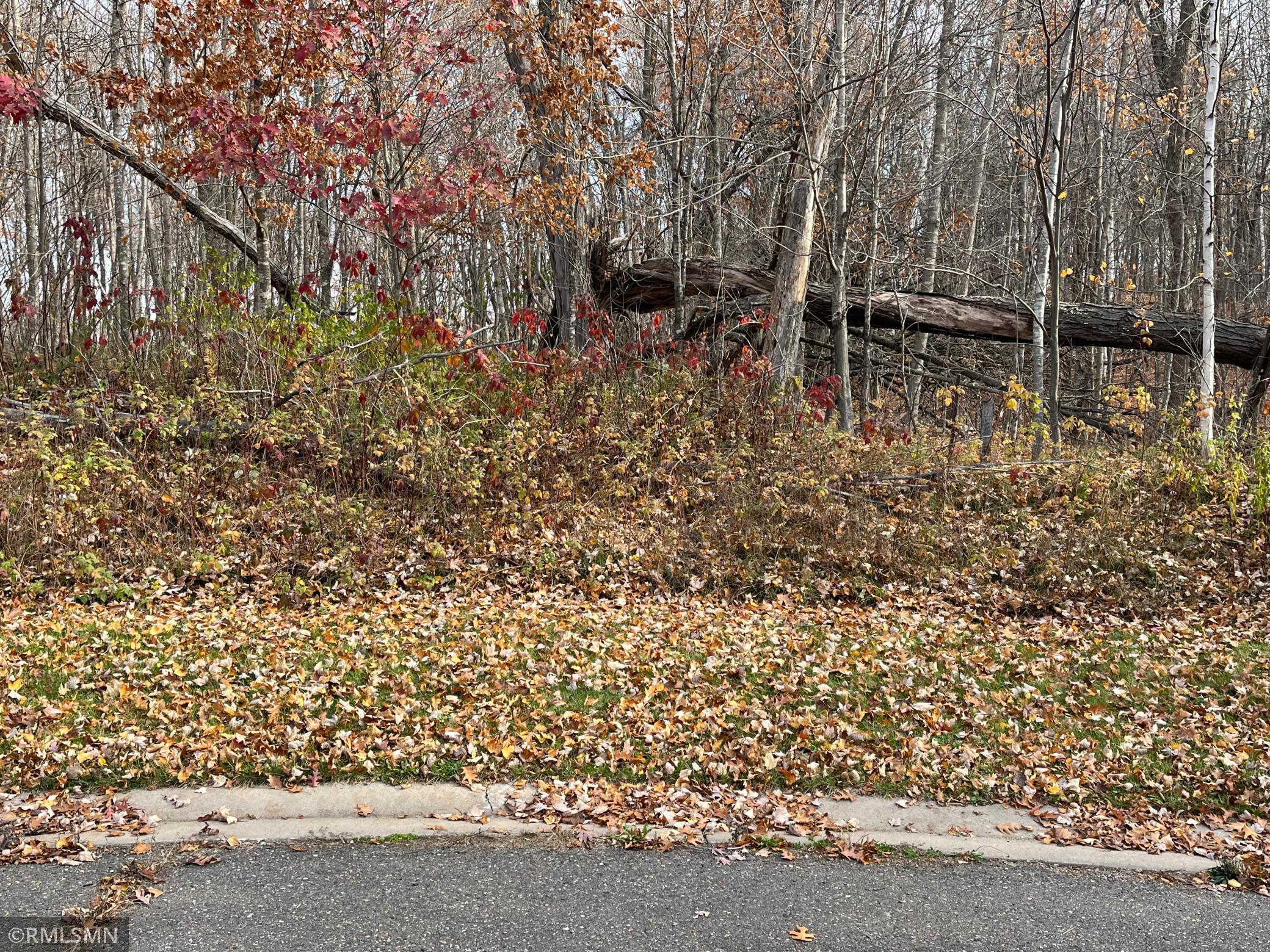 Lot 16 Wilderness Hills Lane