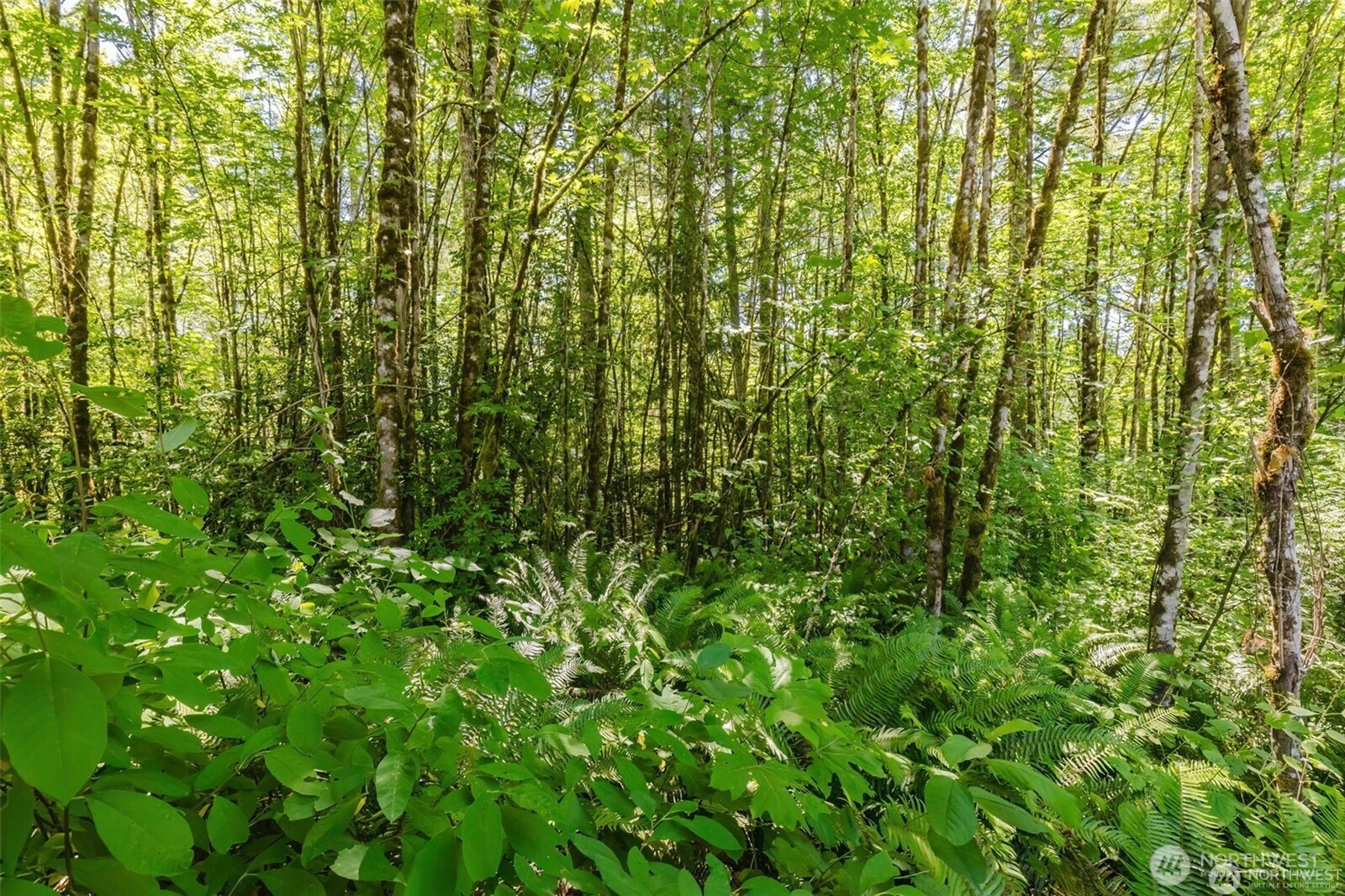 11 Lot Cassie Place NW