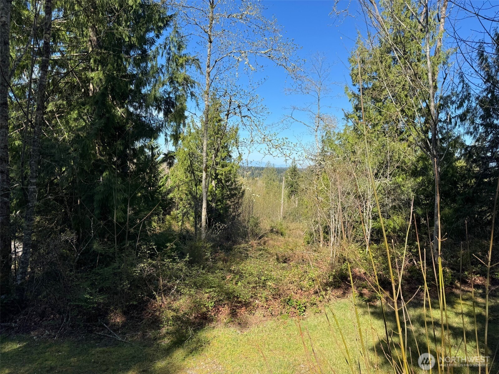 4 XXX 287th Avenue SE