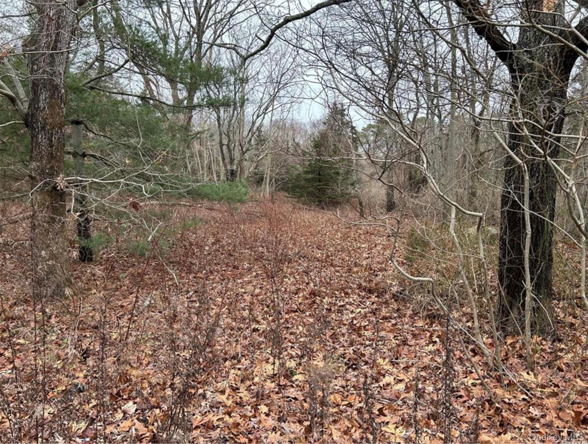 3678 Montauk Highway