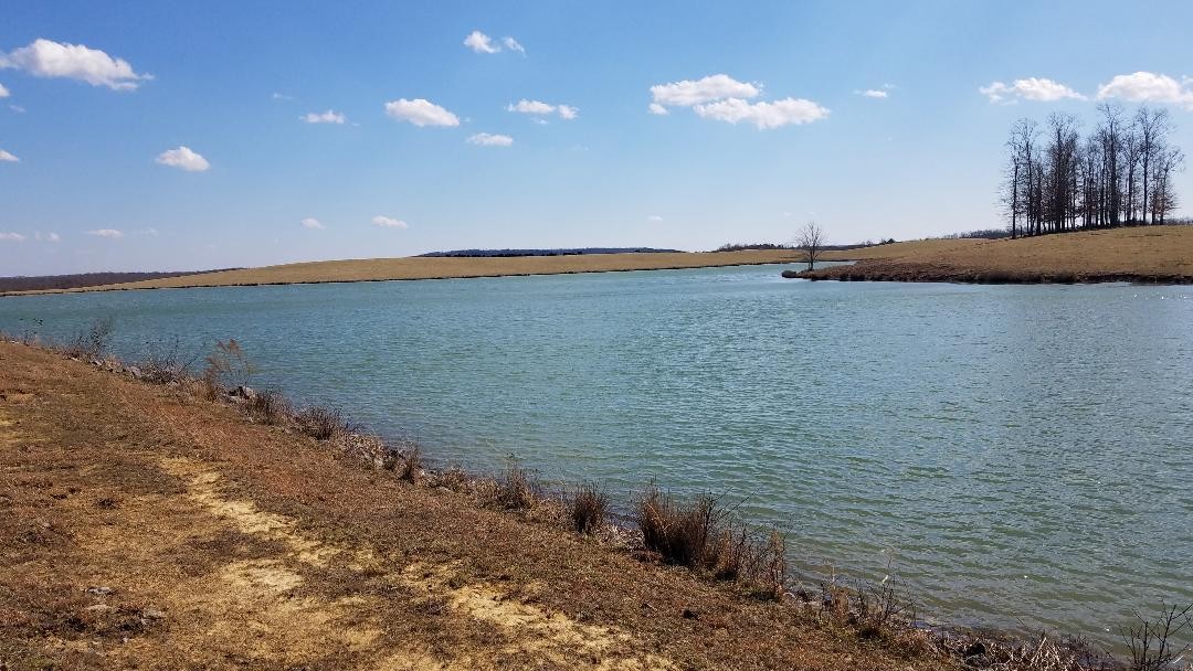 Rural lake bordered by brown fields and leafless trees beneath a blue, cloud-dotted sky.