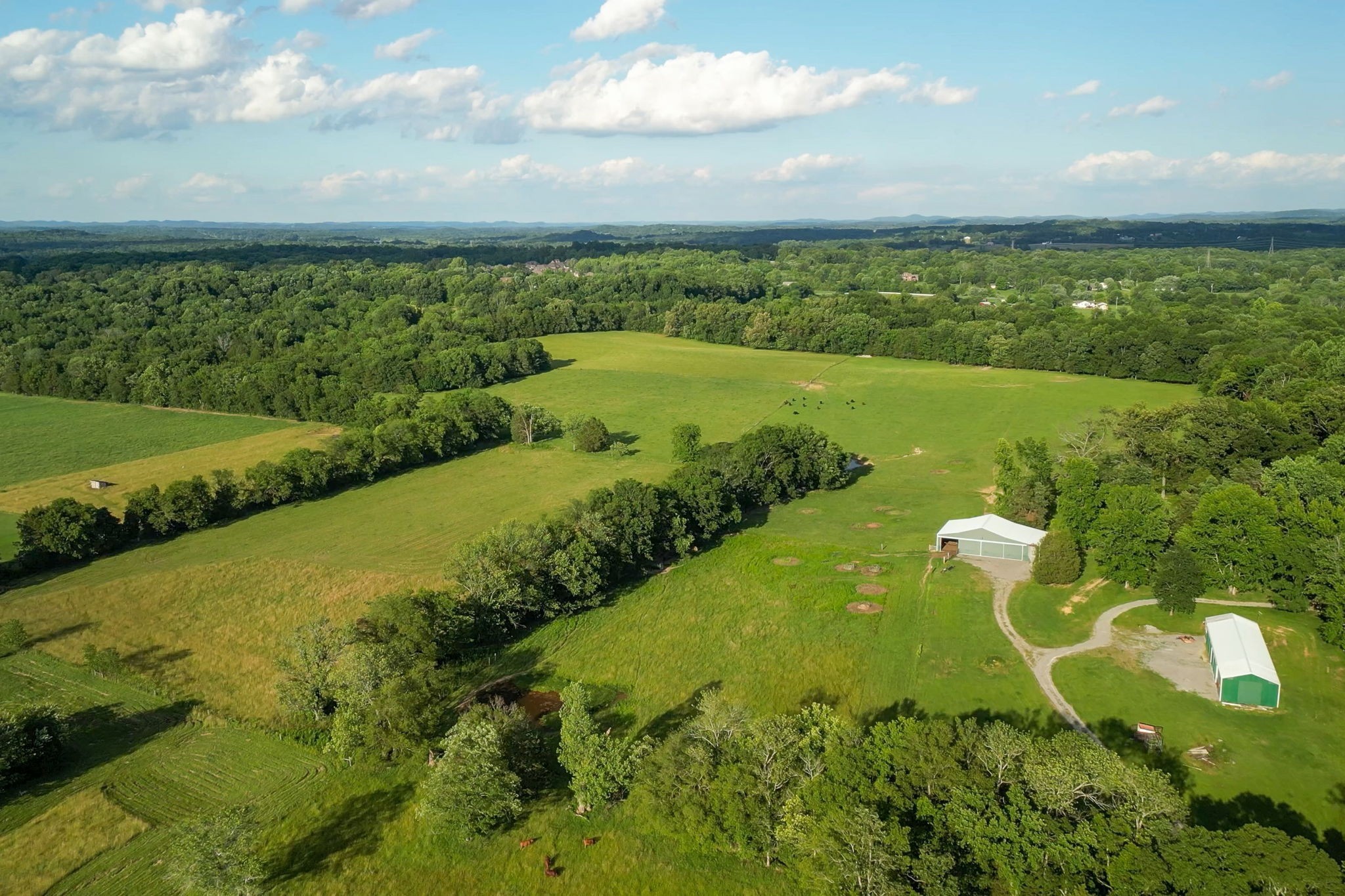 Aerial view of wooded pastureland with two outbuildings, a gravel drive, and cattle.