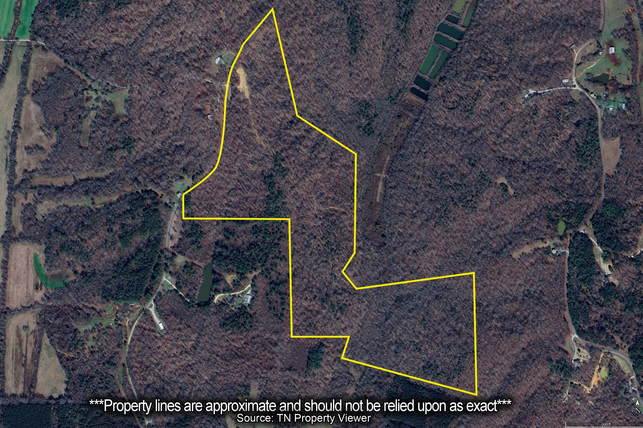 Property photo 4