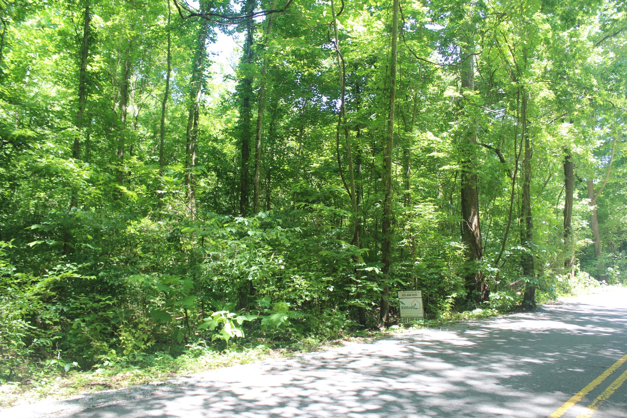 3978 Dry Fork Rd
