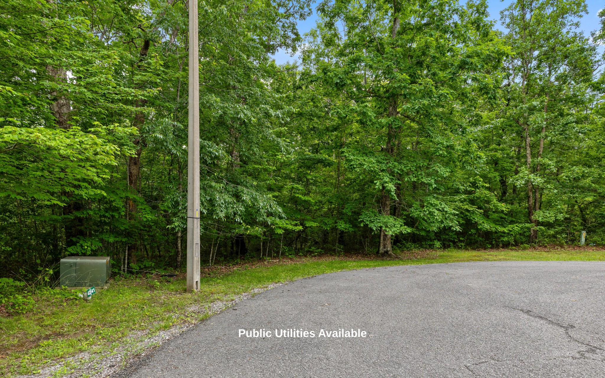 Property photo 4