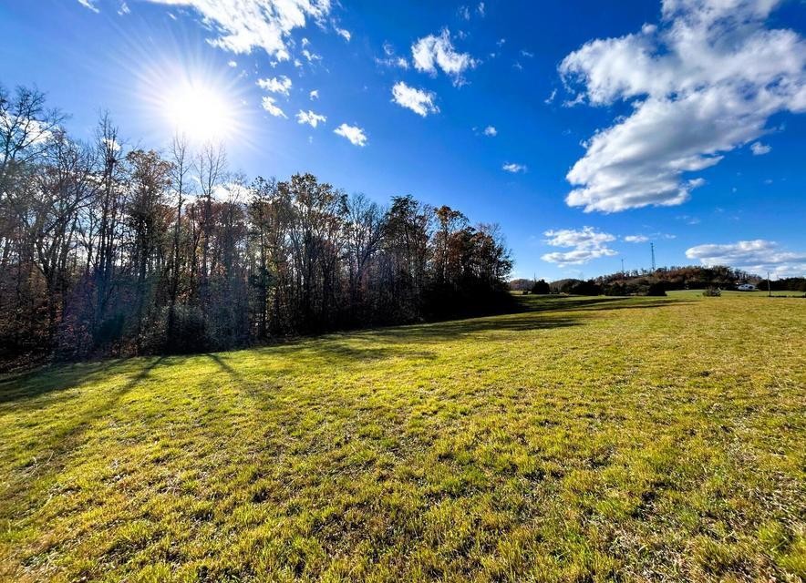 Open grassy field bordered by mostly leafless trees beneath a bright blue sky.