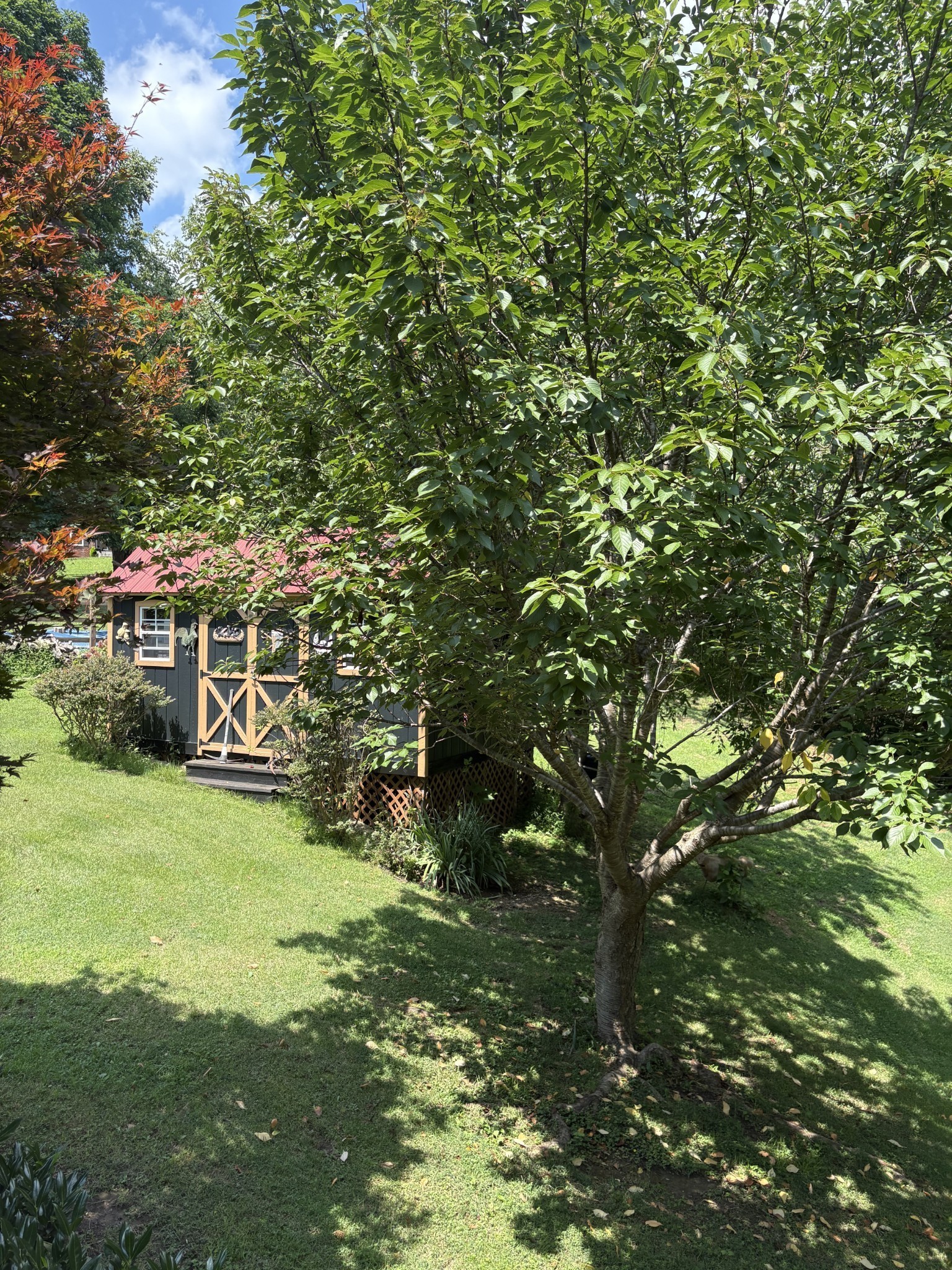 Property photo 5