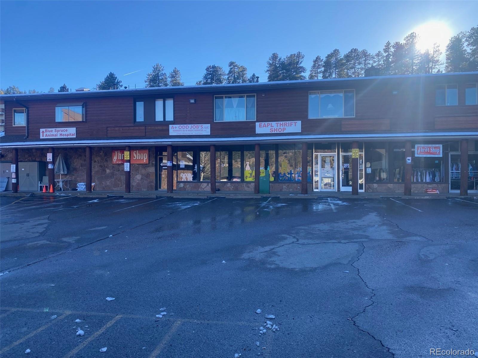 Two-story commercial building with thrift shop and animal hospital signs above an icy parking lot.