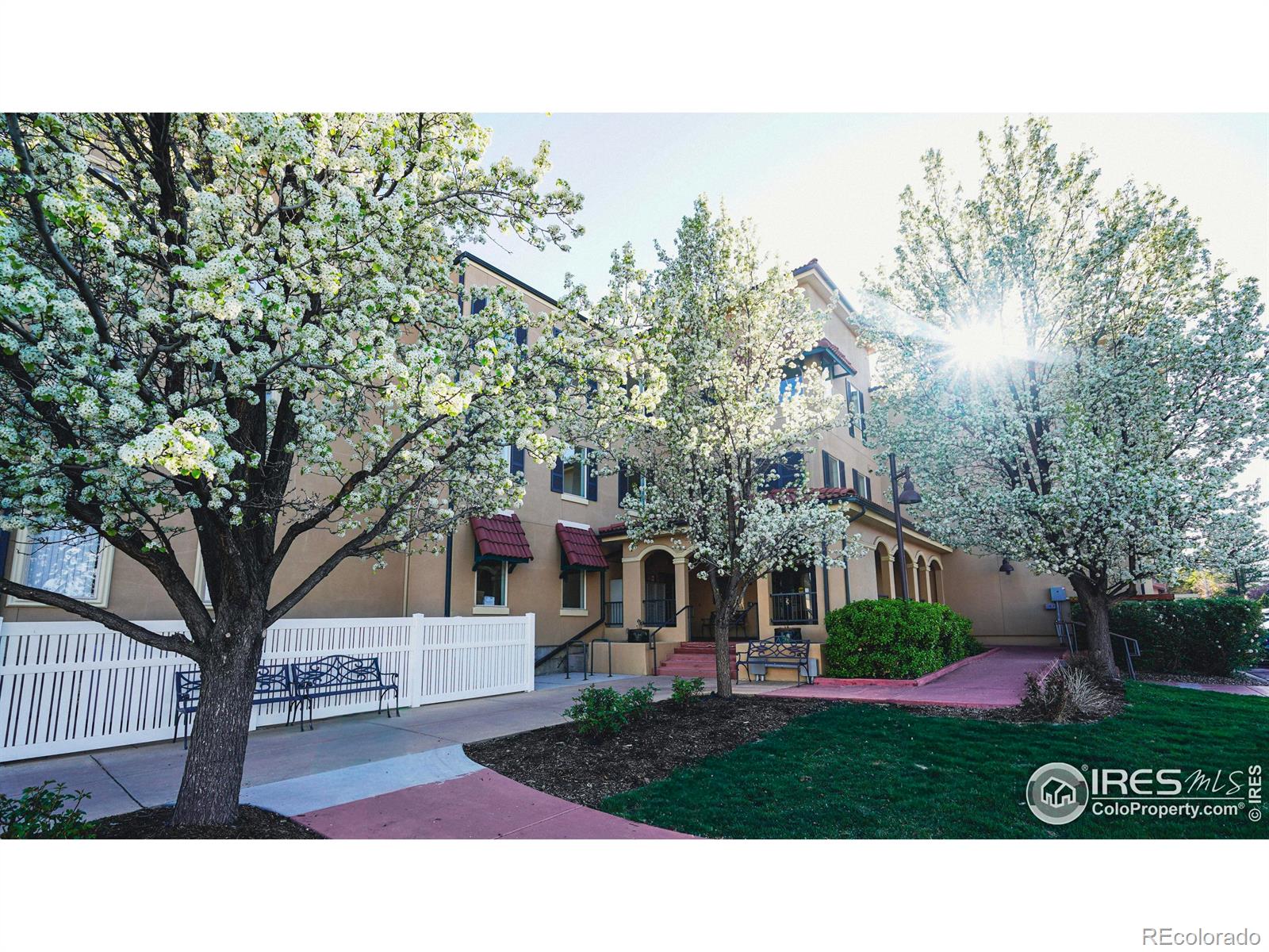 4500 Baseline Road Unit: 4104