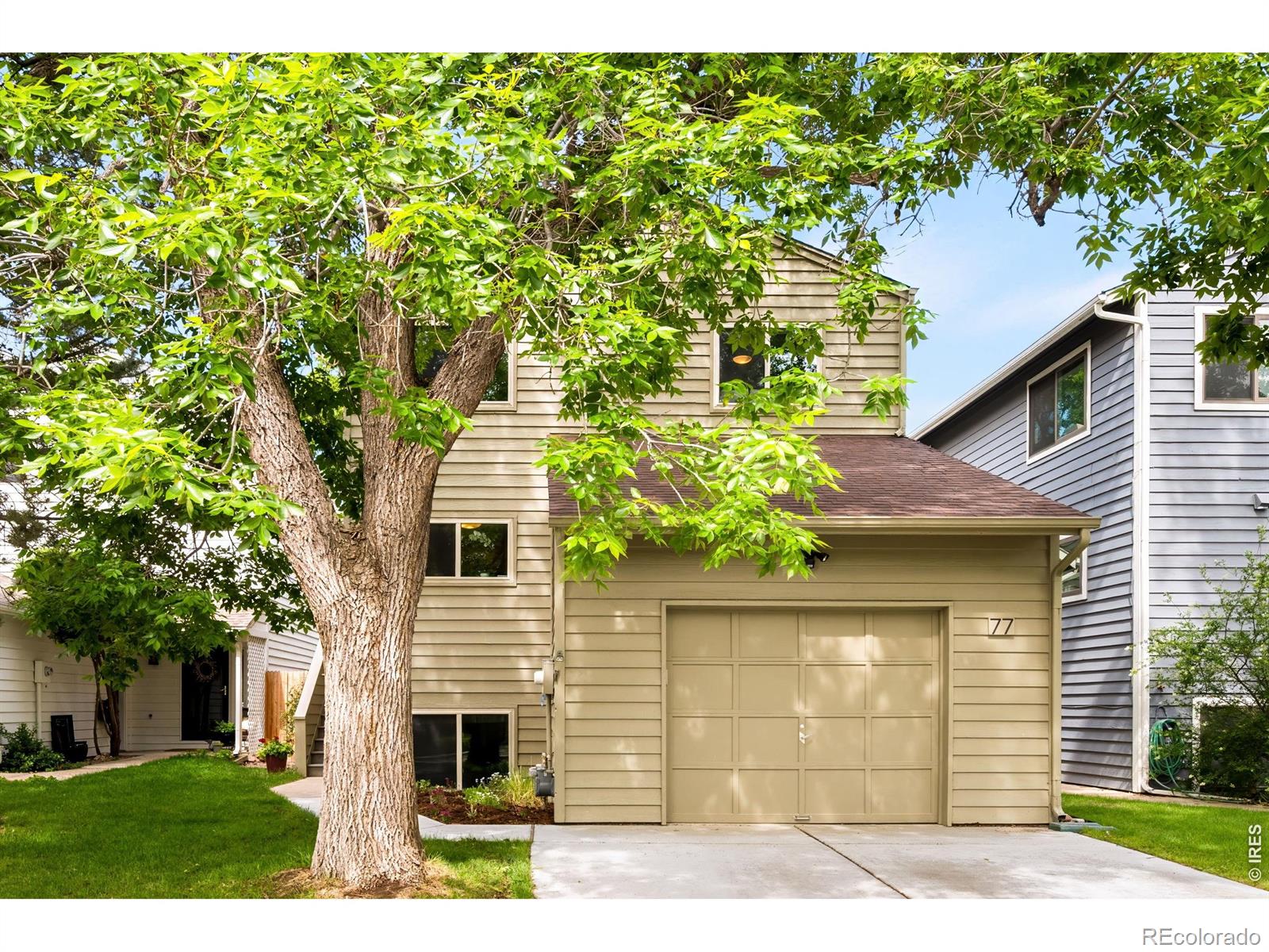 77 Genesee Court