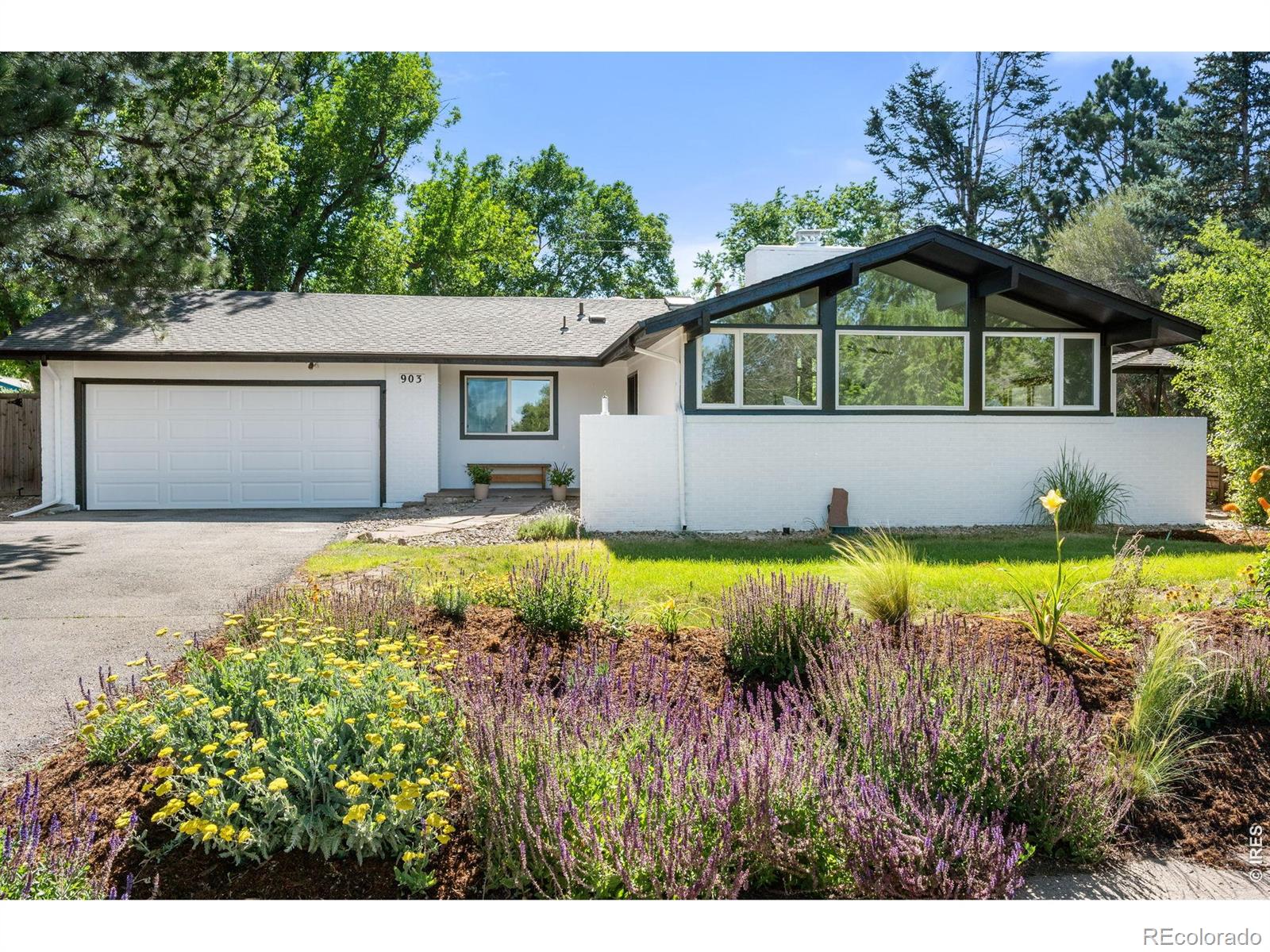 903 Cypress Drive