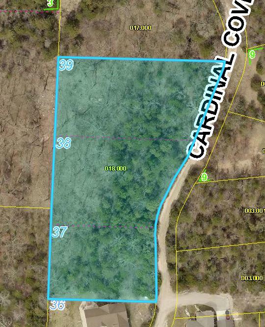 Property photo 4