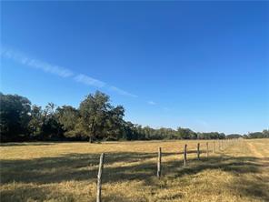 6014 County Rd. 333